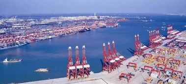 山东下调港口收费标准并公示清单丨码头网