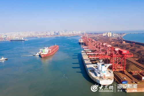 心手相连 共克时艰 山东省港口集团公布疫情防控期间5项港口服务承诺