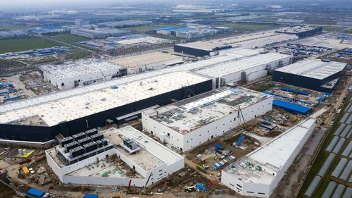 实探上海特斯拉工厂 model y 两月后或投产,每周200名应聘者涌入