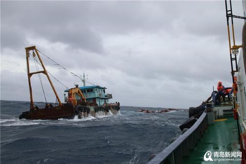 从水手到巨轮领路人 山东港口青岛港的拖轮专家与船员接送服务